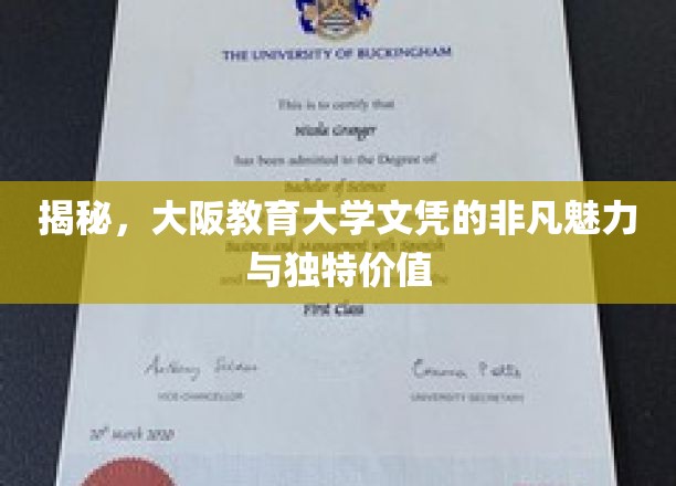 解锁大阪教育大学文凭的独到魅力与无限潜能