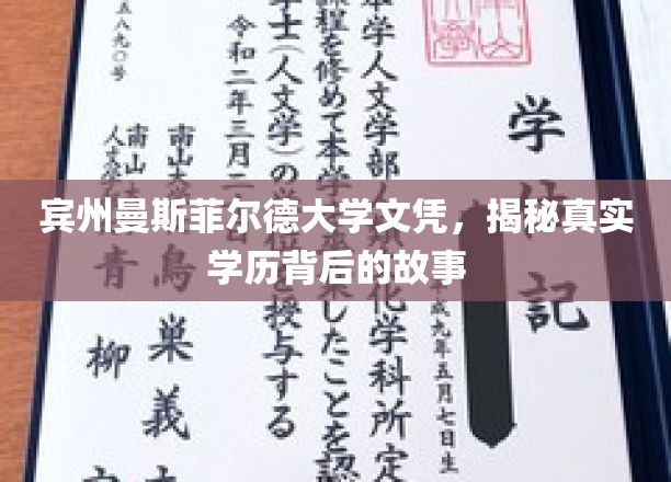 宾州曼斯菲尔德大学学历之谜，揭开虚假文凭背后的真实人生轨迹