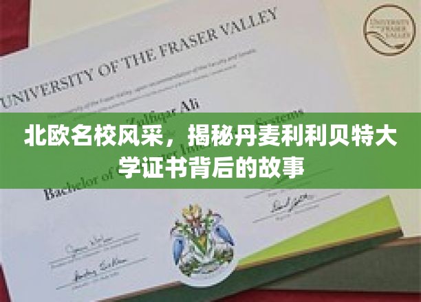 北欧名校风采，揭秘丹麦利利贝特大学证书背后的故事