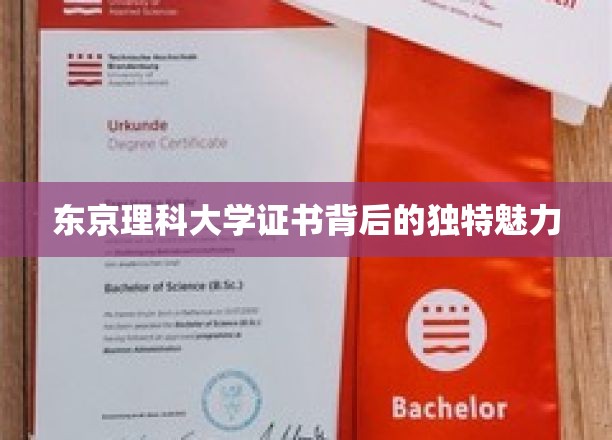 揭开东京理科大学证书的神秘面纱，探寻学术与艺术的完美融合