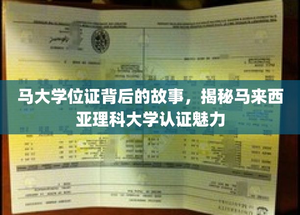 探寻马大文凭背后，马来西亚理科大学认证的独特魅力
