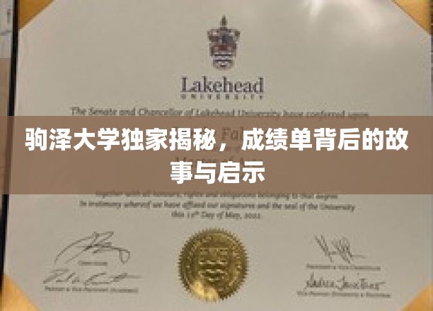 解码驹泽大学成绩单，隐藏在数字背后的大学人生智慧