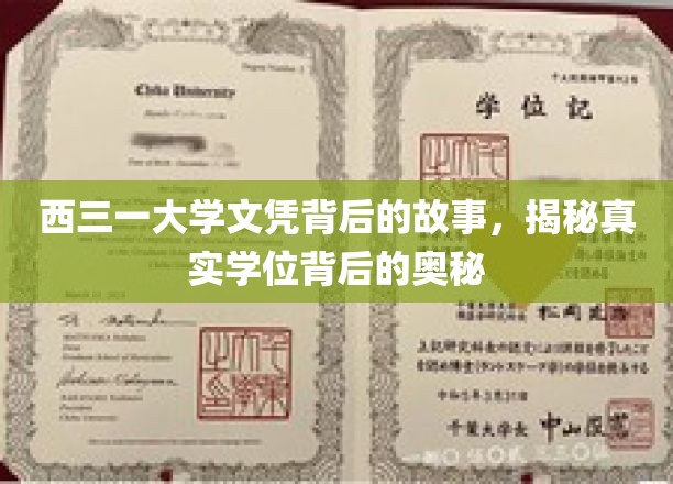 西三一大学文凭背后的故事，揭秘真实学位背后的奥秘
