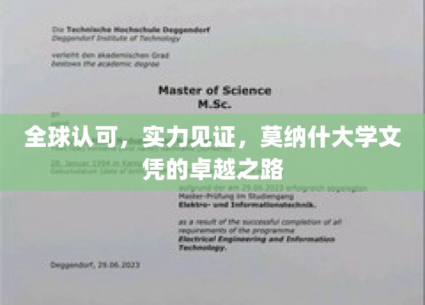 国际认证，实力绽放，莫纳什大学文凭的全球认可传奇