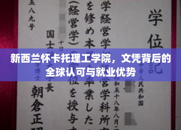 全球通行证，新西兰怀卡托理工学院文凭的就业实力解码
