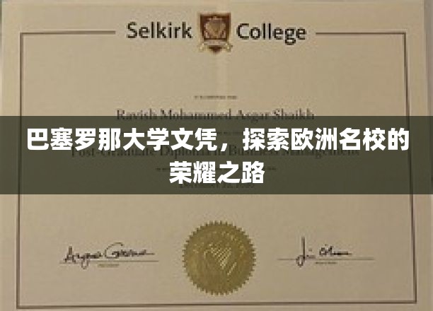 巴塞罗那大学文凭，探索欧洲名校的荣耀之路