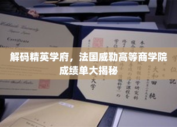 解码精英学府，法国威勒高等商学院成绩单大揭秘