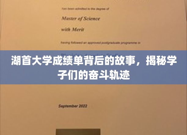 湖首大学成绩单背后的故事，探寻学子们的奋斗轨迹
