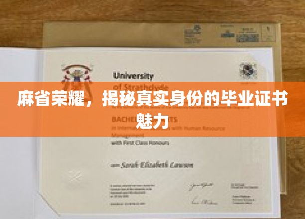 解码麻省荣耀，毕业证书背后的独特魅力