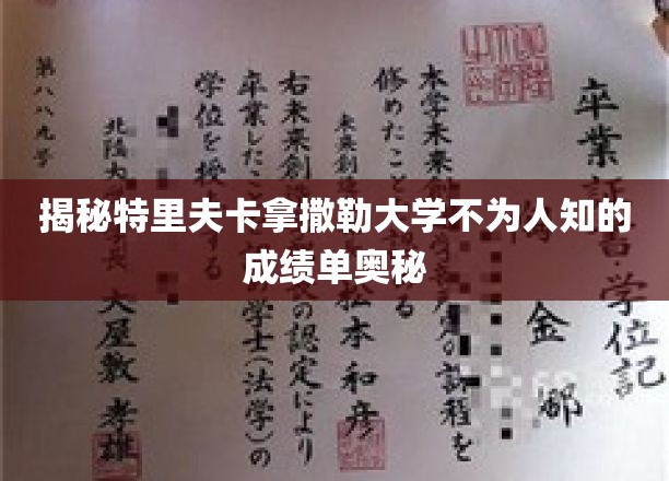 揭开特里夫卡拿撒勒大学成绩单背后的神秘面纱
