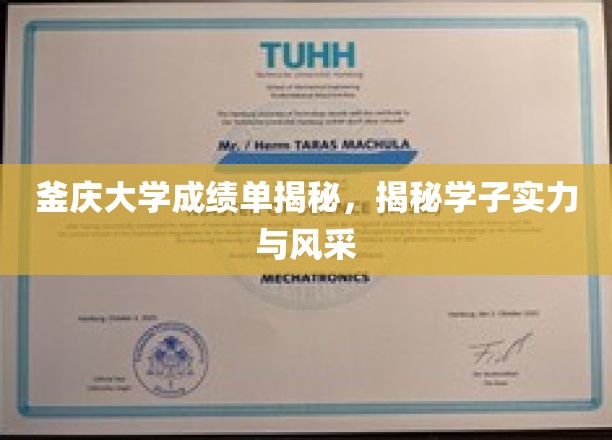 釜庆大学成绩单揭秘，一窥学子实力与风采