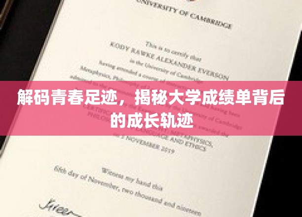 青春足迹解码，探寻大学成绩单中的成长篇章