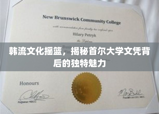 首尔大学文凭，揭开韩流文化源头的璀璨面纱