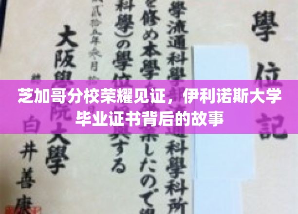 伊利诺斯大学荣耀足迹，揭秘芝加哥分校毕业证书背后的传奇