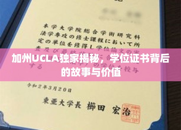 解码UCLA学位证书，背后的传奇与无价价值