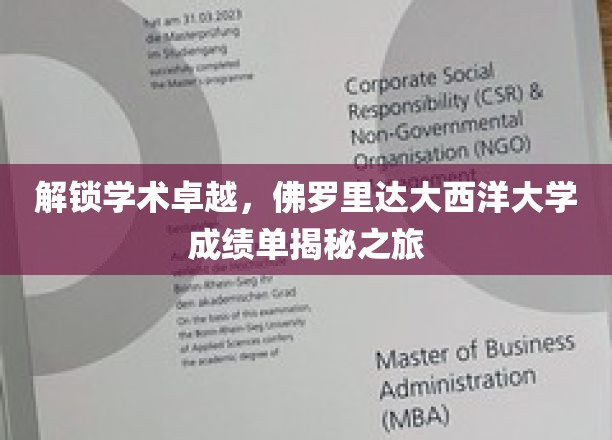 佛罗里达大西洋大学卓越之路，揭开学术成就的神秘面纱