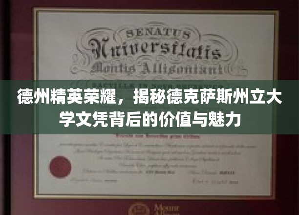 德克萨斯辉煌，探秘德州大学文凭的非凡价值与独特风采