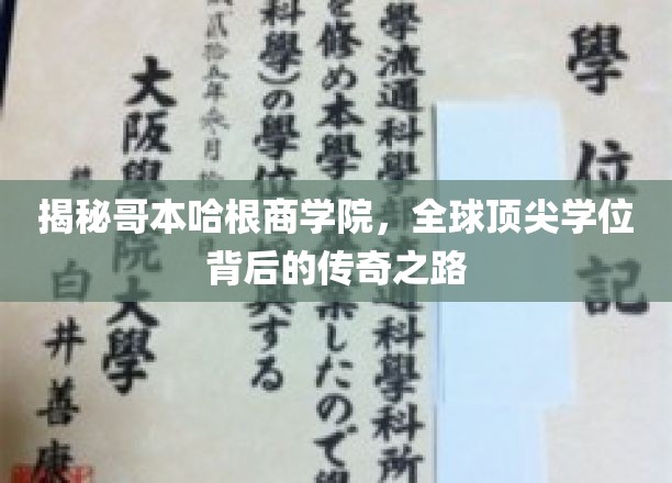 解码哥本哈根商学院，探寻全球精英学位的卓越旅程