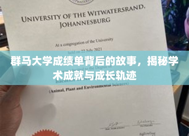 群马大学成绩单背后的秘密，探寻学子成就与成长之路