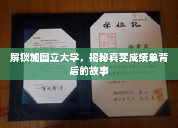 揭开加图立大学成绩单背后的神秘面纱