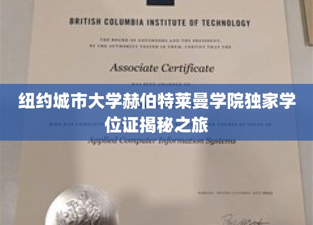 纽约城市大学赫伯特莱曼学院学位证背后的独特旅程大揭秘