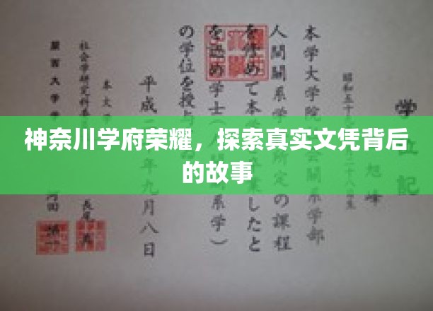 揭秘神奈川学府，探寻文凭背后的荣耀与真实