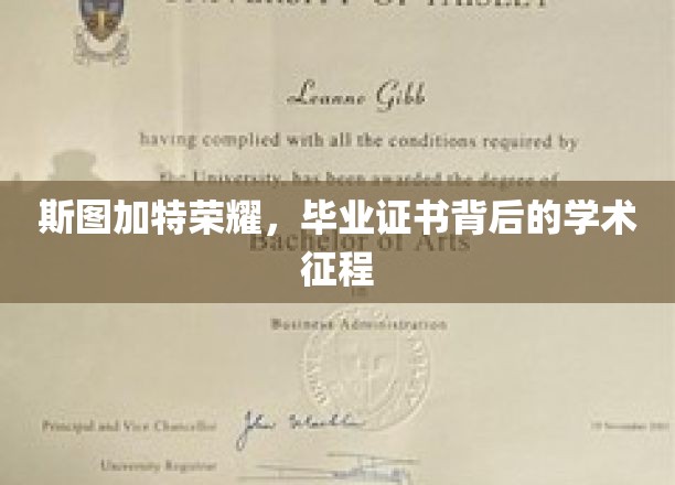 探寻斯图加特荣耀，毕业证书背后的学术征途揭秘