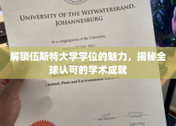 探索伍斯特大学学位的全球影响力，一窥国际认可的学术辉煌