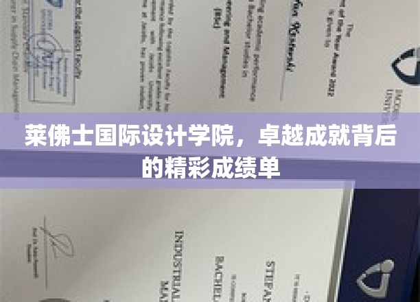 莱佛士设计英才，揭秘学院卓越成就背后的璀璨篇章