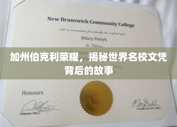 探寻加州伯克利荣耀，解码世界名校文凭背后的传奇