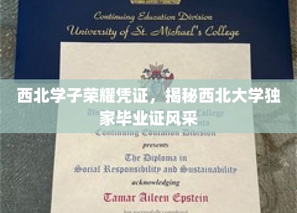 西北荣耀，一纸证书，映照西北大学学子风采之谜