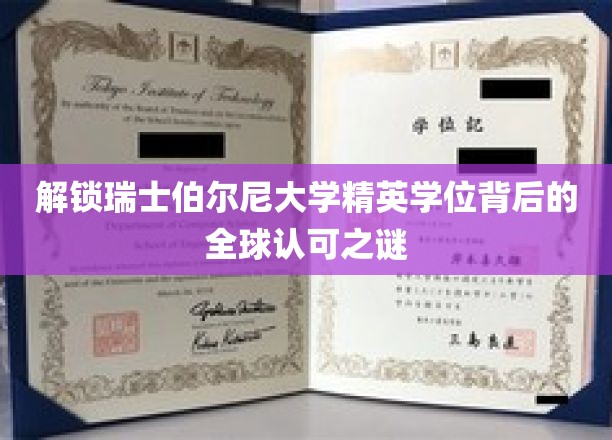 解锁瑞士伯尔尼大学精英学位背后的全球认可之谜