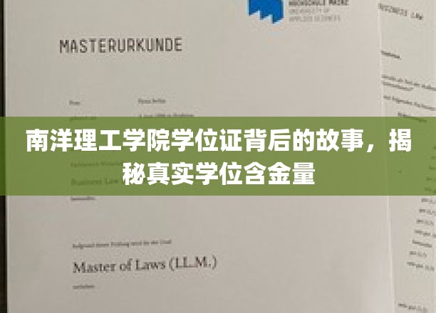 揭秘南洋理工学院学位证背后的故事，探析学位的真实含金量