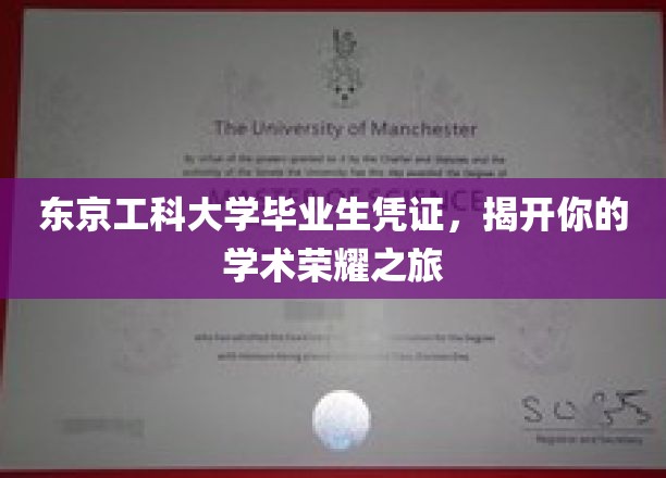 东京工科大学荣耀通行证，开启你的学术巅峰之旅