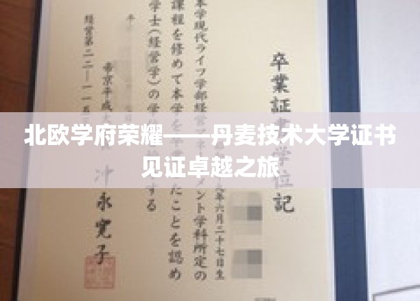 北欧教育巅峰，丹麦技术大学证书映照卓越篇章