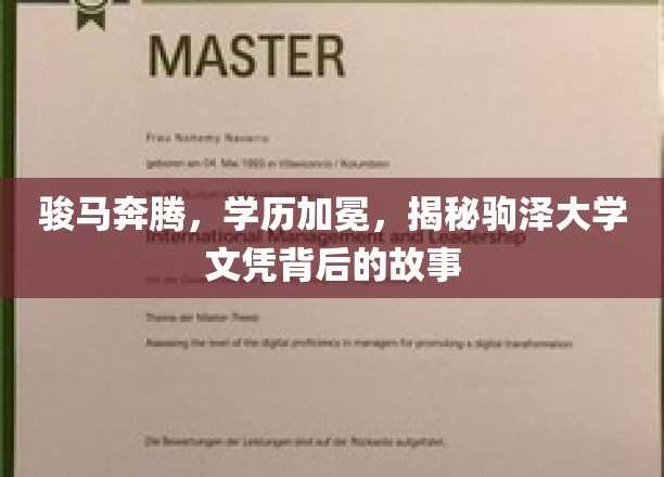 蹄声飞扬，荣誉熠熠，探索驹泽大学学位证书背后的传奇风采