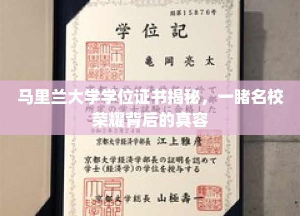 解码马里兰大学学位证书，探寻世界名校的荣誉之光