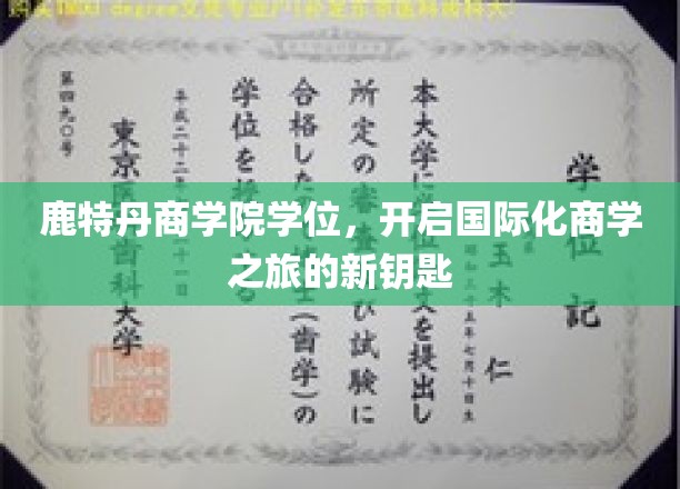 鹿特丹商学院学位，解锁全球商界精英之路