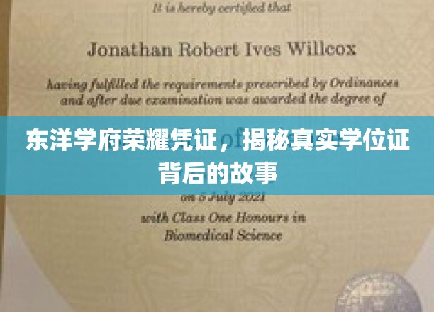 探寻东洋学府荣耀凭证，揭开学位证背后的传奇故事