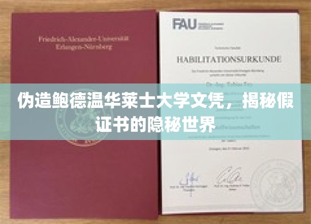 伪造名校文凭风波，鲍德温华莱士大学假证背后的神秘江湖