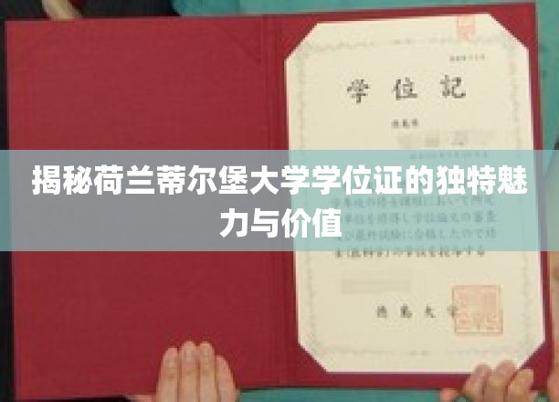 荷兰蒂尔堡大学学位证，解锁国际教育品质的璀璨钥匙