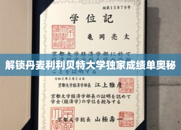 丹麦利利贝特大学成绩单揭秘，一窥学术成就的秘密之门