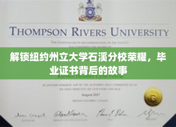 揭秘石溪之光，纽约州立大学毕业证书背后的辉煌历程