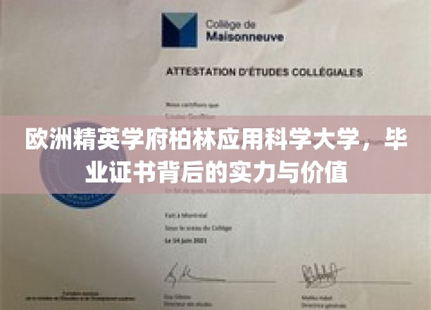 解码柏林应用科学大学，毕业证书背后的非凡实力与珍贵价值