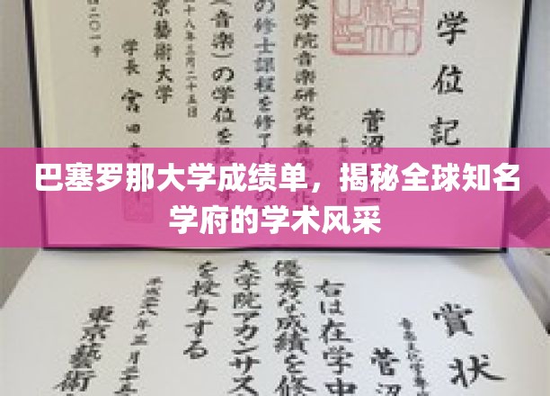 巴塞罗那大学成绩单，揭秘全球知名学府的学术风采