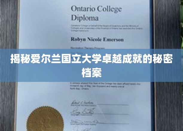 揭秘爱尔兰国立大学卓越成就的秘密档案