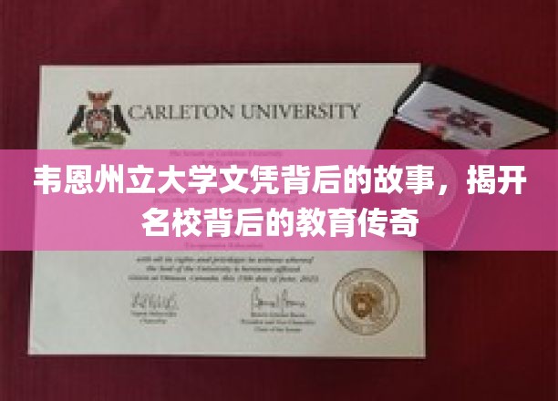 韦恩州立大学文凭背后的故事，揭开名校背后的教育传奇