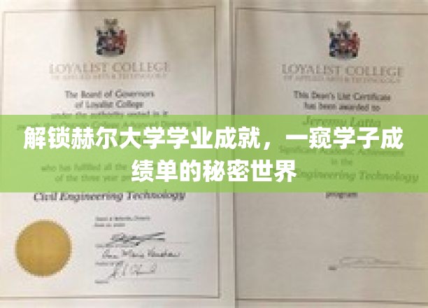 解锁赫尔大学学业成就，一窥学子成绩单的秘密世界