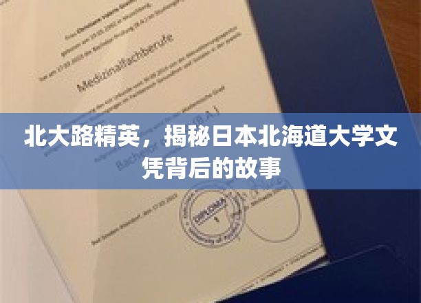 北大路精英，揭秘日本北海道大学文凭背后的故事