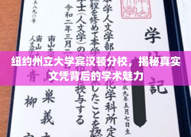 解码纽约州立大学宾汉顿分校，文凭背后的学术风采探秘